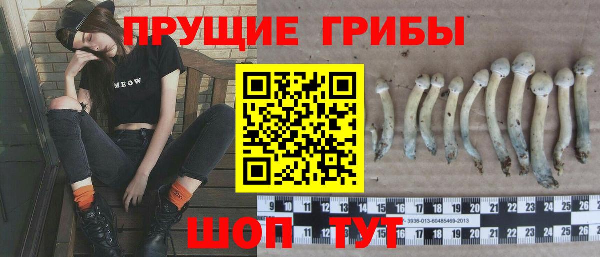 Балашиха  наркошоп  Вход с VPN  Галлюциногенные грибы Magic Shrooms 